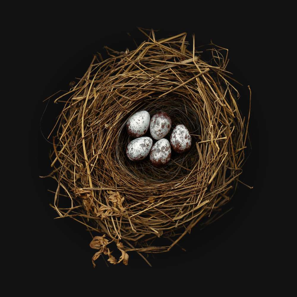 Makemake is a bird god. Here's a nest